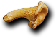 MTapas - Catering og selskapslokaler