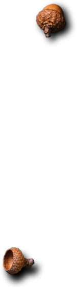 MTapas - Catering og selskapslokaler