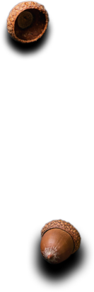 MTapas - Catering og selskapslokaler