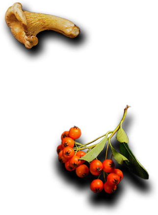 MTapas - Catering og selskapslokaler